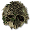 The Forest