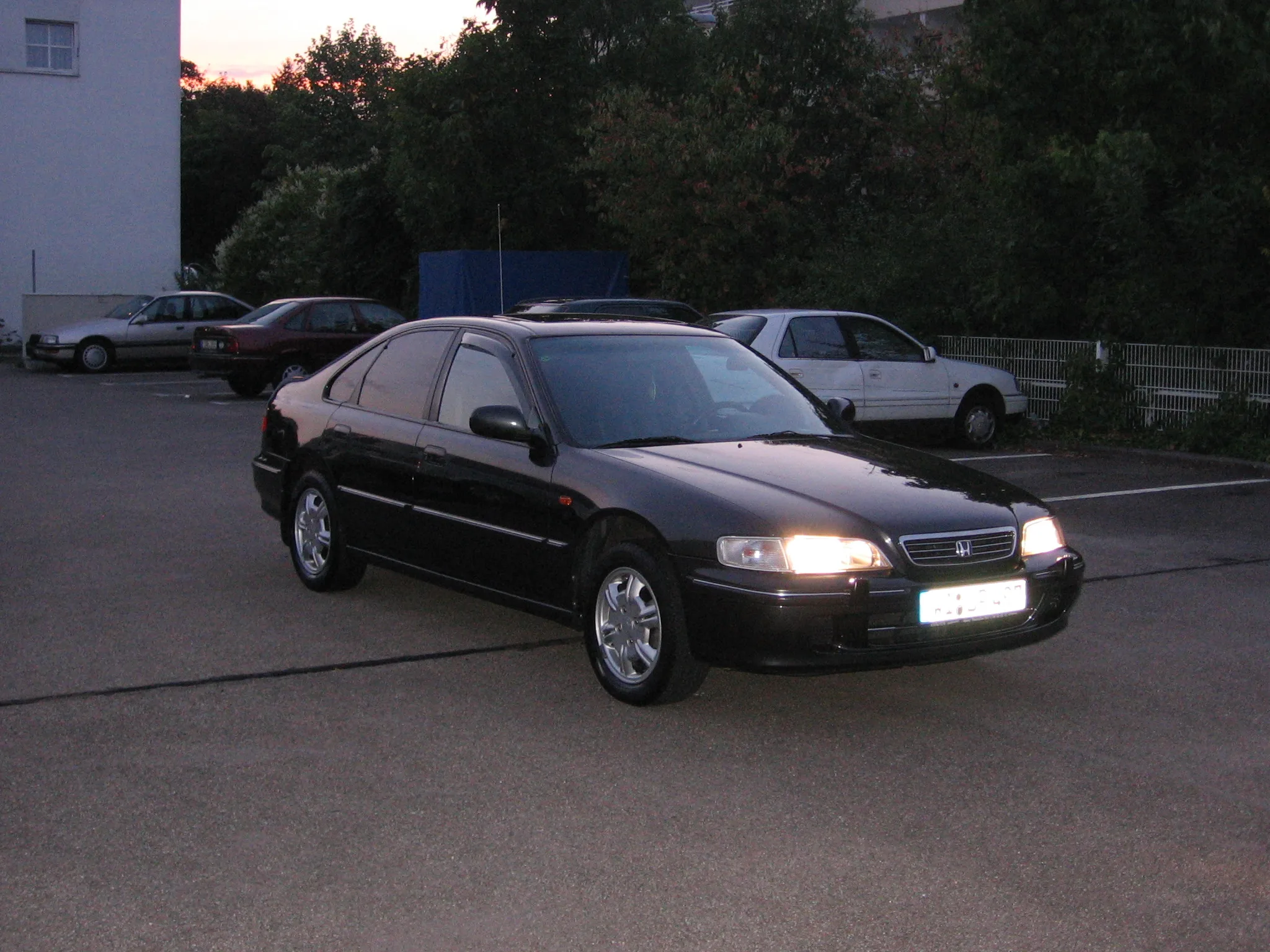 Obraz 1