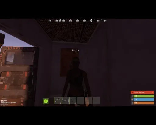 Obraz 5