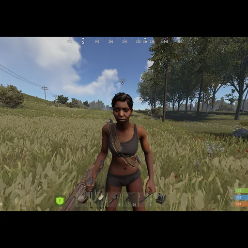 Obraz 3