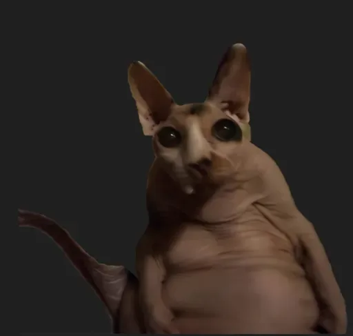 Obraz 1