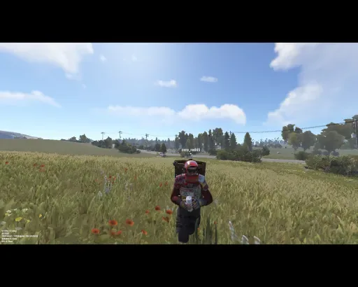 Obraz 2