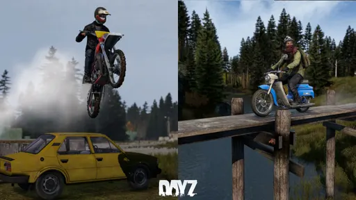 Obraz 4