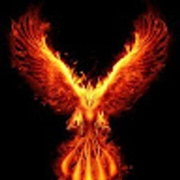 Phoenix_662