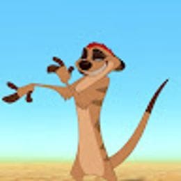 timon22