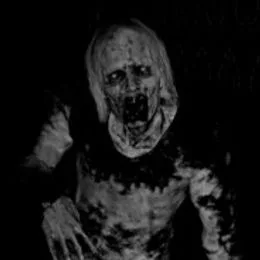 user113399