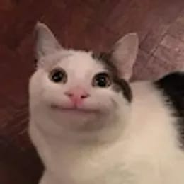 BelugaCat