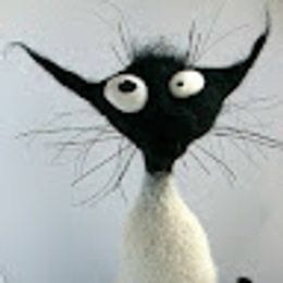 WarpKat