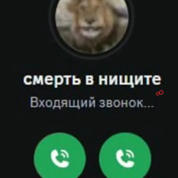 knrnllstepanob