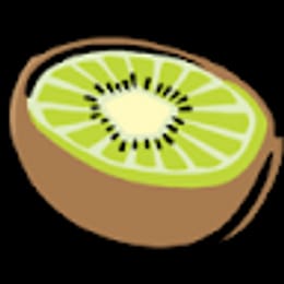 FoxDeveloperStudio