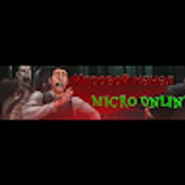 MicroOnline
