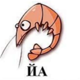 yakrevedko
