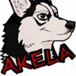 Akella_264