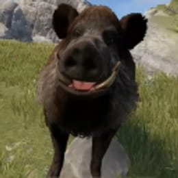 nnnn