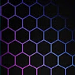 lipoppolip1