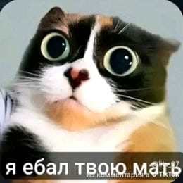 mister_muzchina