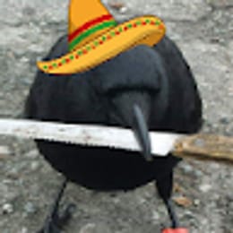GrimshawEden