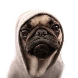 ktotakoe