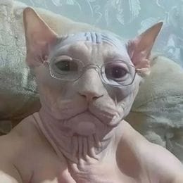 snus_gendalf