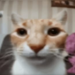 darkiytode