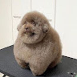 AndreyWhatIsIt