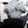 fackel_________00