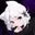 user1829