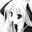nt_1uxury