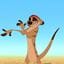 timon22