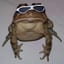 user5935