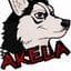 Akella_264