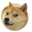 co6aka_oxpehebaka