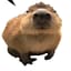 gleblis0070
