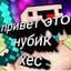 nikitazaytsev176