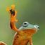 i_am_groot